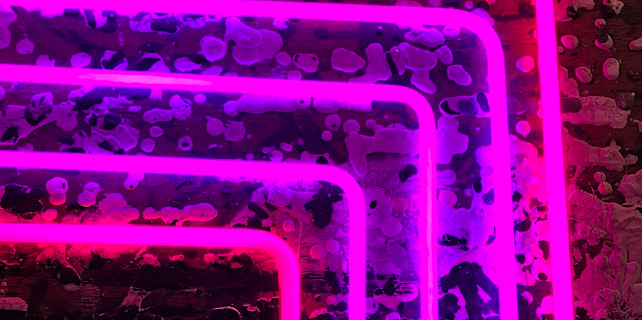 Level Up : Intermediate Neon