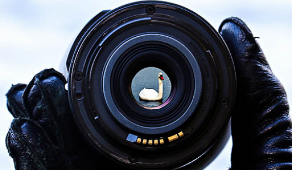 40-for-40 Prof Dev't Series-How to Shoot Your Own Work 