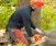 Chainsaws: Use, Safety, and Maintenance