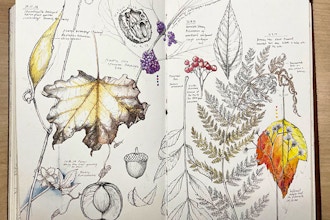 Perpetual Journaling: Draw the Details - Online