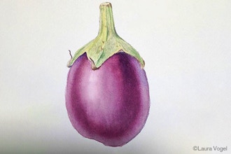 Eggplants in Dry Brush Watercolor