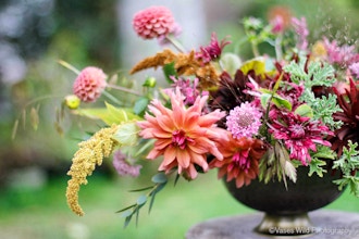 Color Theory for Floral Design - Online