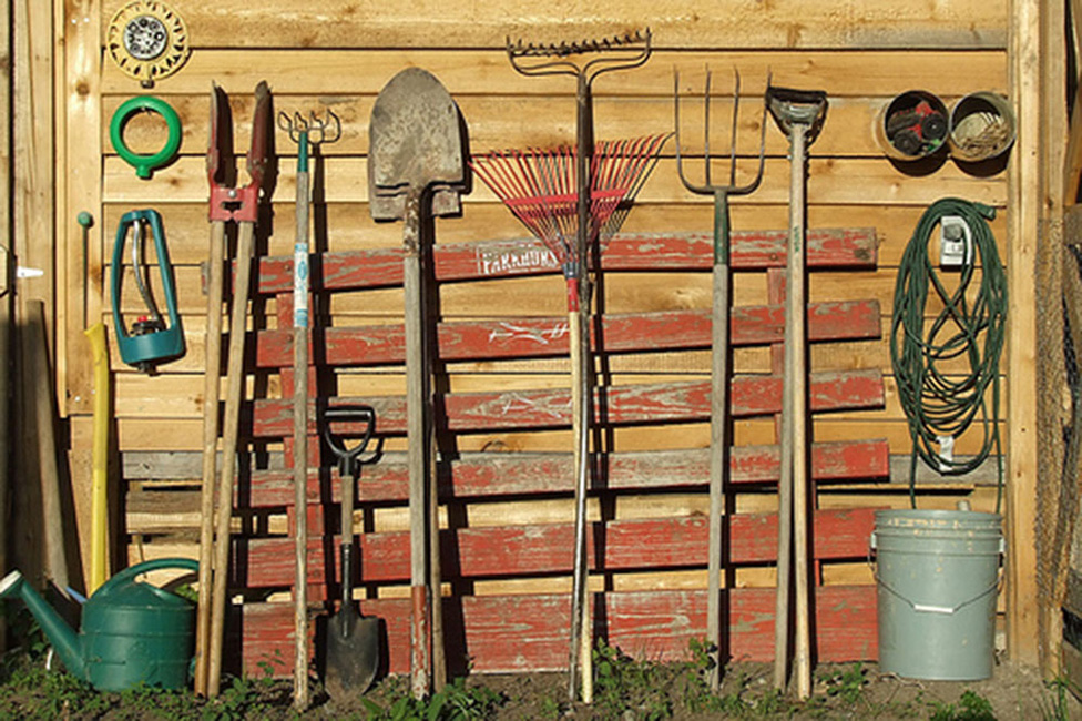 Fundamentals Of Gardening Online Gardening Classes New York