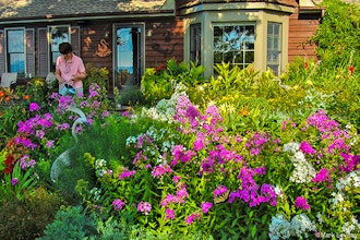 Landscape For Curb Appeal Online Gardening Classes New York