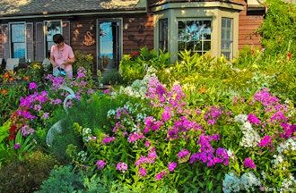 Landscape For Curb Appeal Online Gardening Classes New York