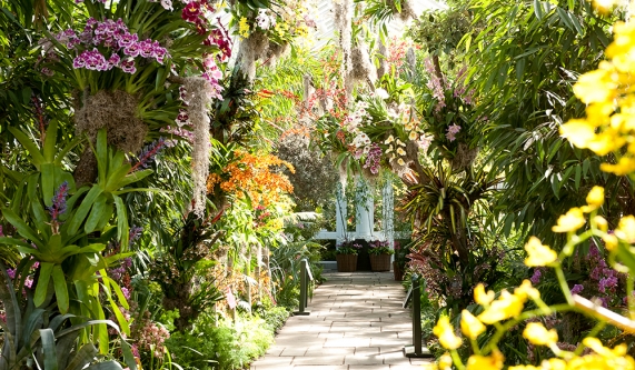 新品 NEWERA New York Botanical Garden L/XL New York Botanical Garden Tickets - Free Entry w/ New York Pass®