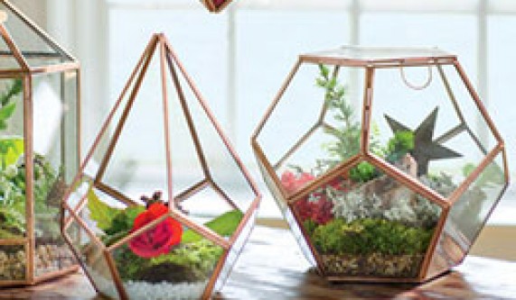 Terrariums [Class in NYC] New York Botanical Garden