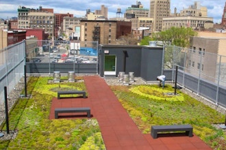 Intro to Green Roofs