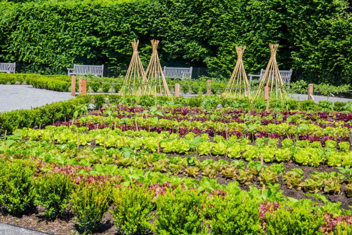 decorative vegetable gardens - garden classes new york
