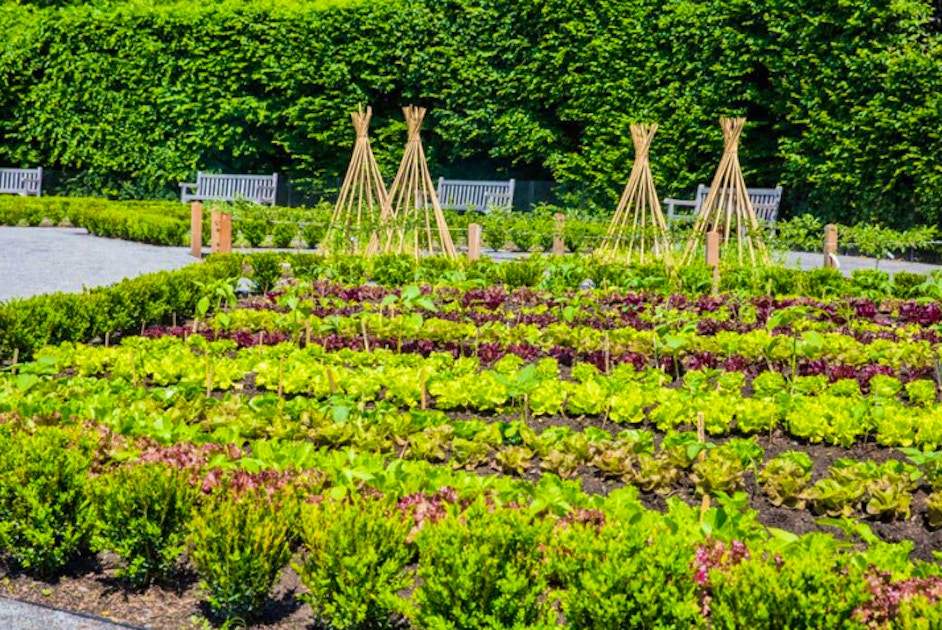 decorative vegetable gardens - garden classes new york