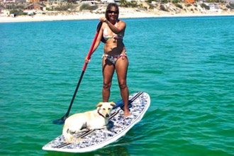 Stand Up Paddleboarding - Wave Riding Lesson