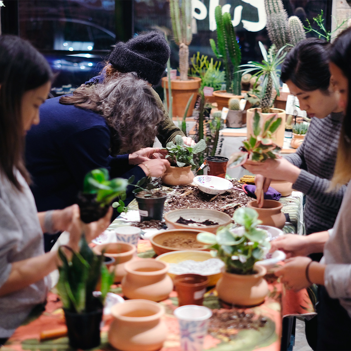 Soil Building & Potting