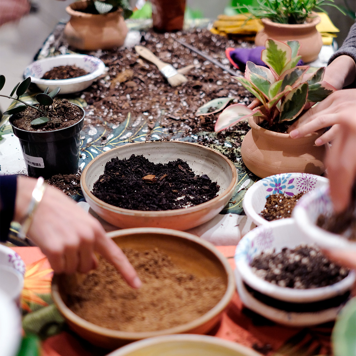 Soil Building & Potting