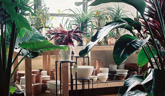 Tula, Plants & Design
