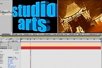 Animation Classes Denver Coursehorse