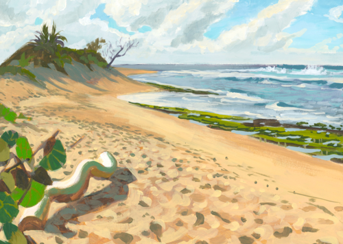 12+ San Diego Painting