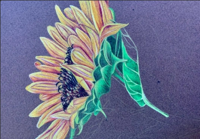 Mixed Media Lab