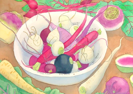 Still Life Watercolor Painting