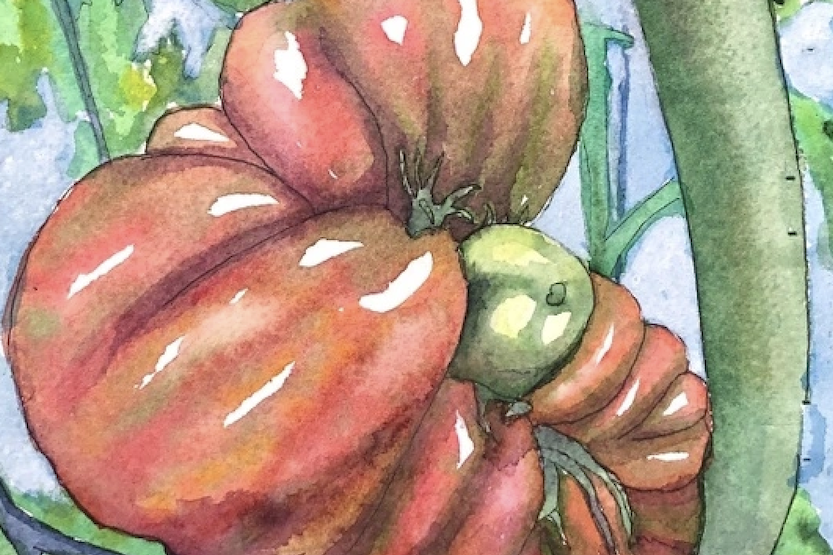 Beginning Watercolor