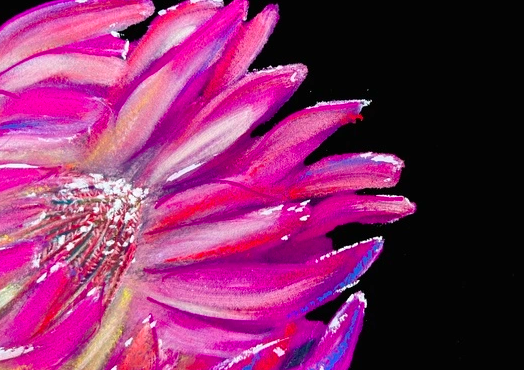 Floral Expressions in Pastels