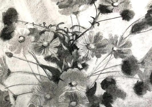 Intermediate Drawing