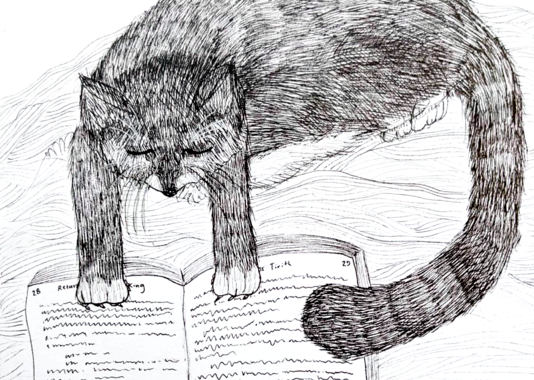 Sketchbooking