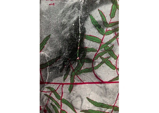 Photo-Based Print Projects