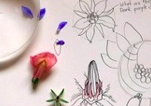 Nature Journaling
