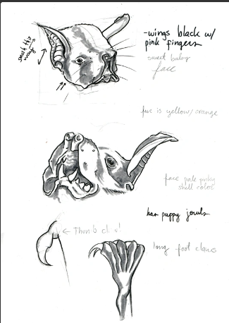 Urban Nature Journaling