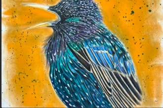 Backyard Birds of the East Bay in Colored Pencil