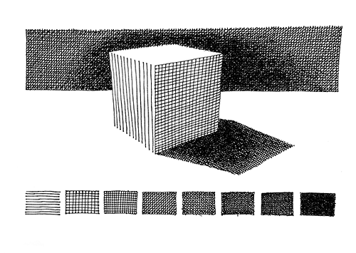 Drawing Workshop Series