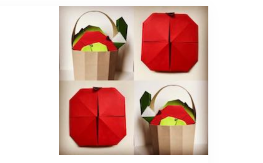 Beginner Origami