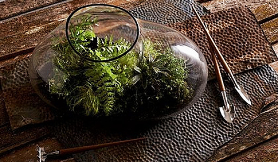 Terrariums