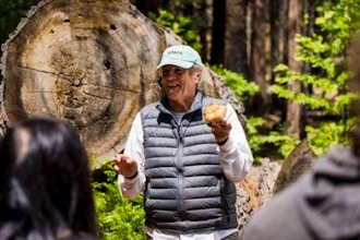Wild Mushroom Foraging: Santa Cruz Mountains