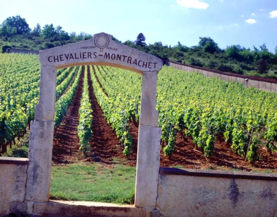 Burgundy's Cote d'Or