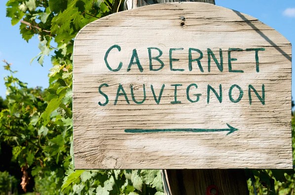 Cabernet Sauvignons of the World (Blind Tasting)