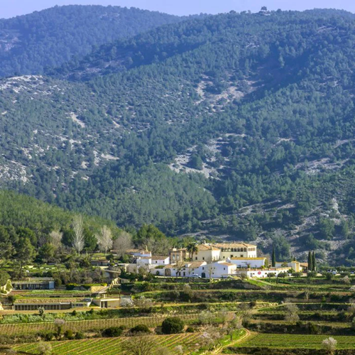 Grandes Pagos de España Terroir Workshop