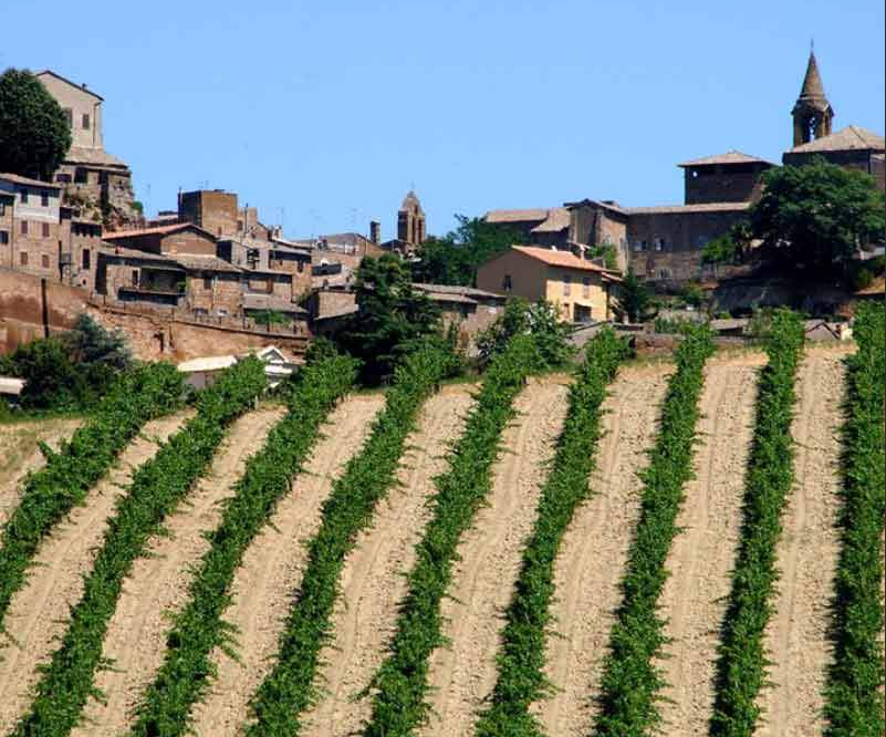 Marche & Umbria