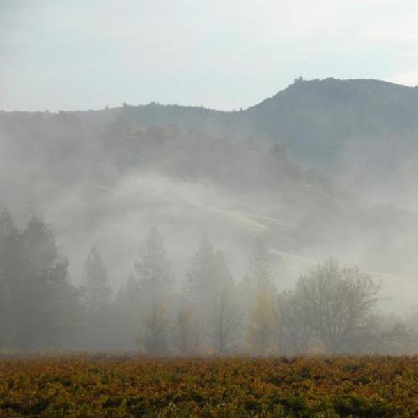 Pacific Northwest Overviews & Wines of Southern Oregon