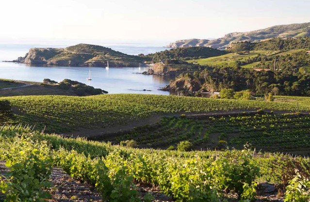 Provence, Languedoc & Roussillon
