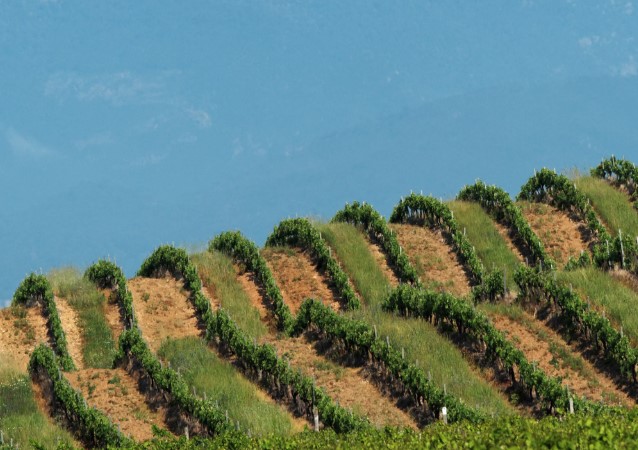 Southwest France & Corsica