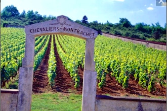 Burgundy's Cote d'Or