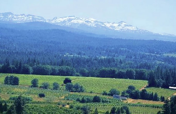 Wines of Lake County & The Sierra