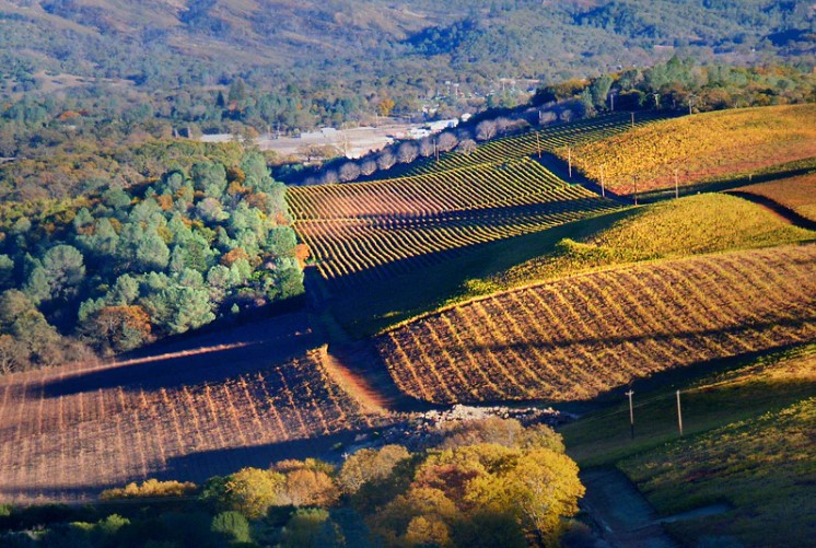 Wines of Lake County & The Sierra