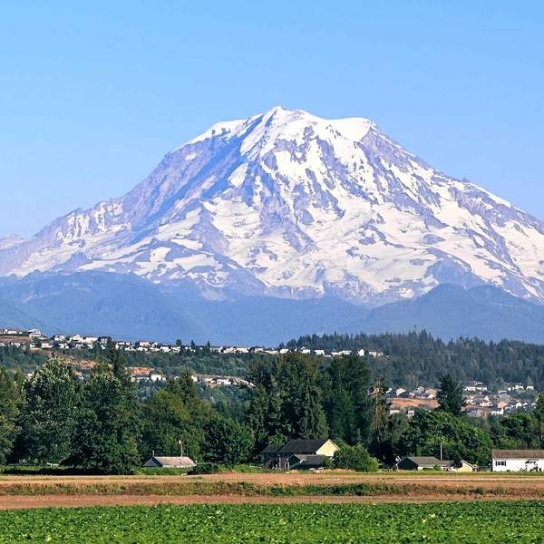 Wines of Washington State