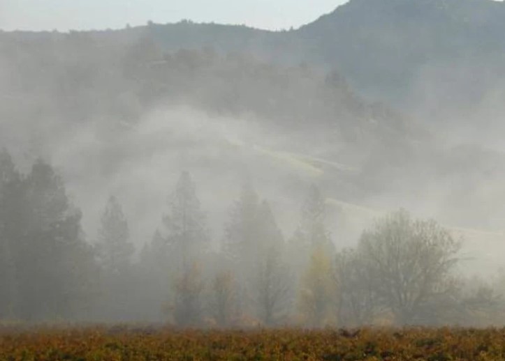 Pacific Northwest Overviews & Wines of Southern Oregon