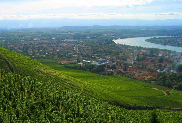 Rhone Valley