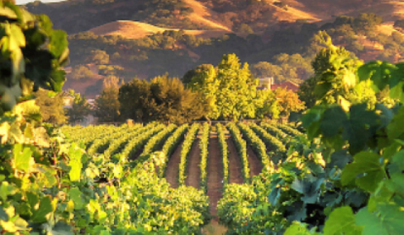 Santa Cruz, Livermore & Lodi