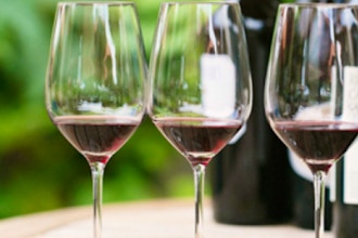 Blind Tasting Thick-Skinned Red Wines