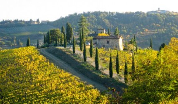 Temperate Climate Wines of the World